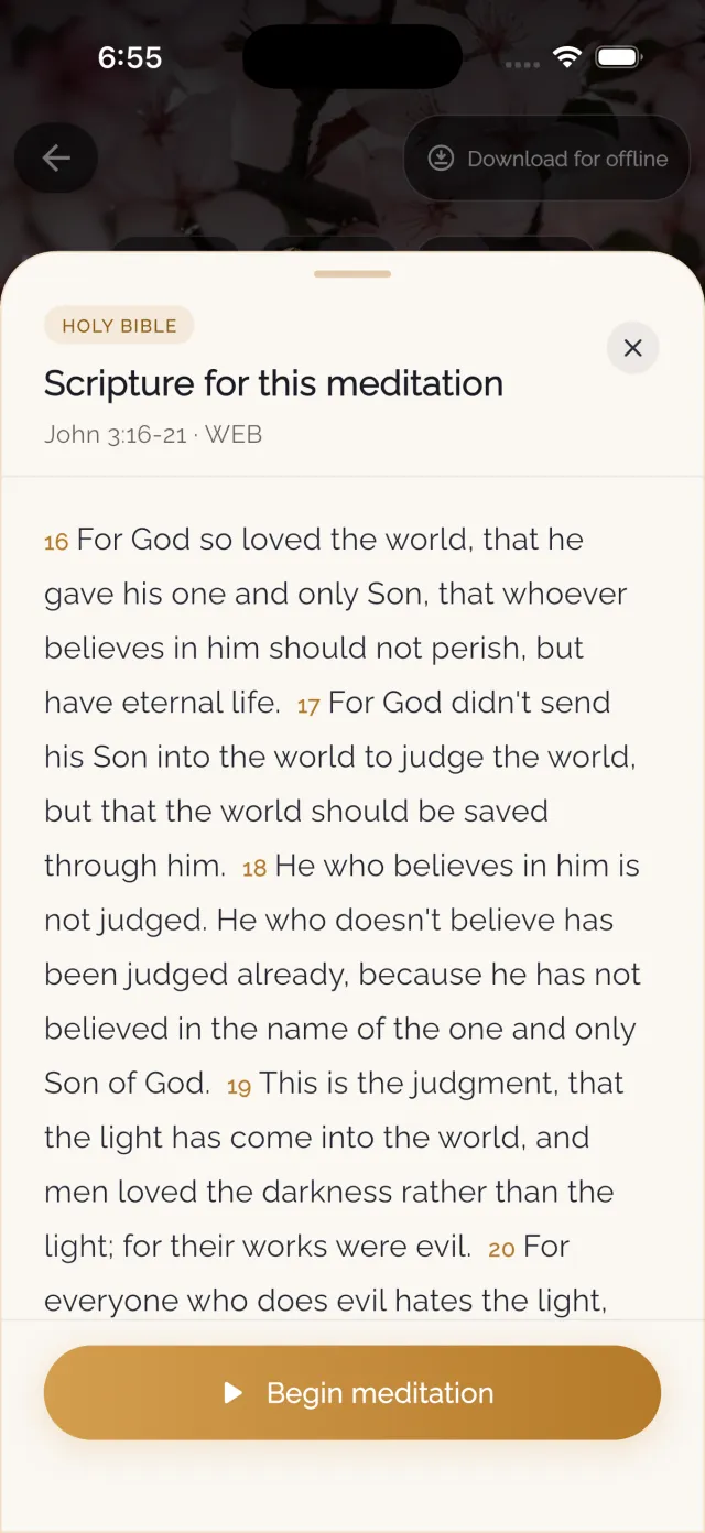Edenify light theme Scripture reader displaying John 3:16-21 with a Begin meditation button